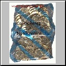 BOLSA F.N.M.T. 10 CENTIMOS DE EURO 2003